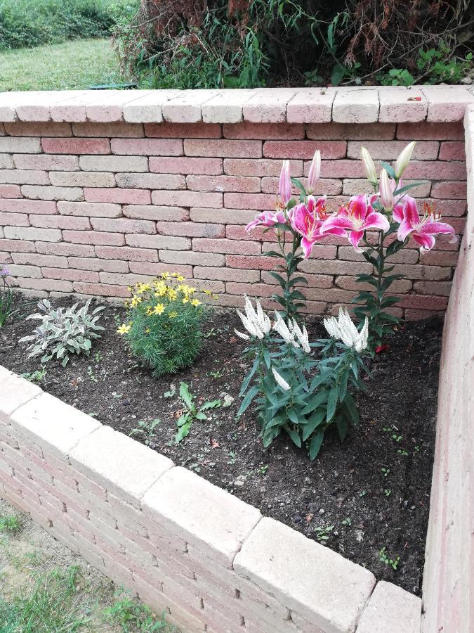 Balaca Panzio Veszprém Exterior foto